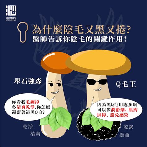 陰毛有什麼作用|陰毛為何是捲的？4大功能曝光 該不該剃醫師解答